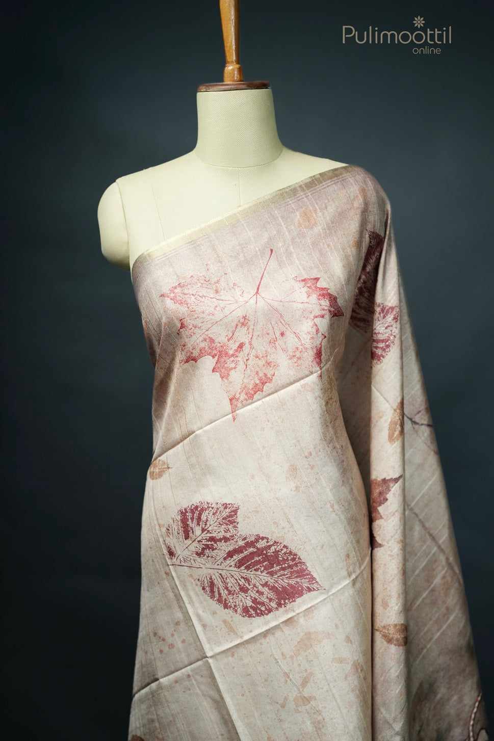 Light Chickoo Colour Printed Tussar Silk Saree