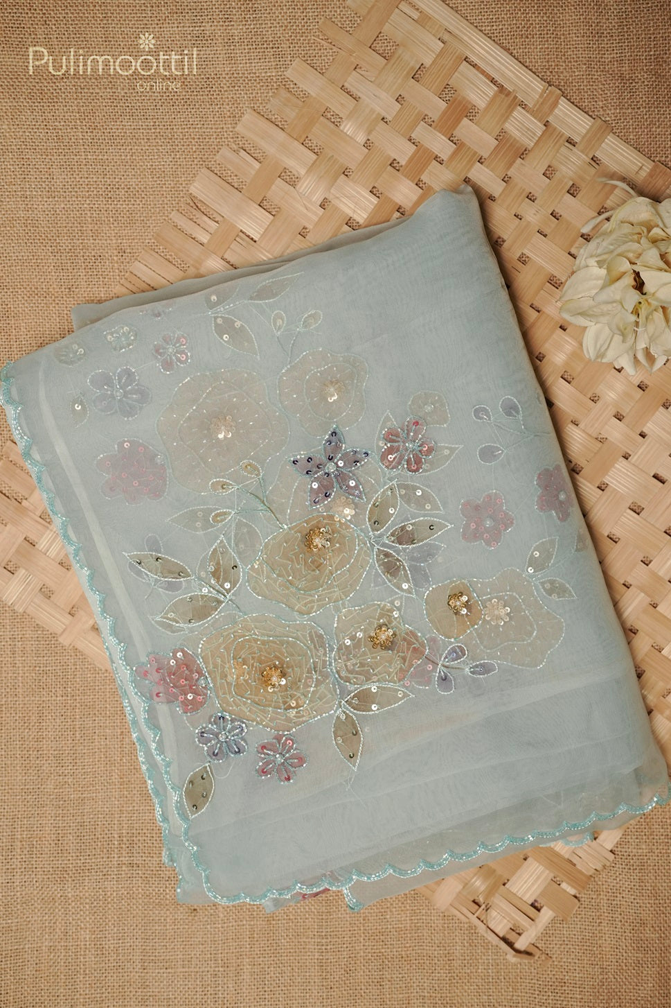 Pastel Blue Organza Fancy Saree