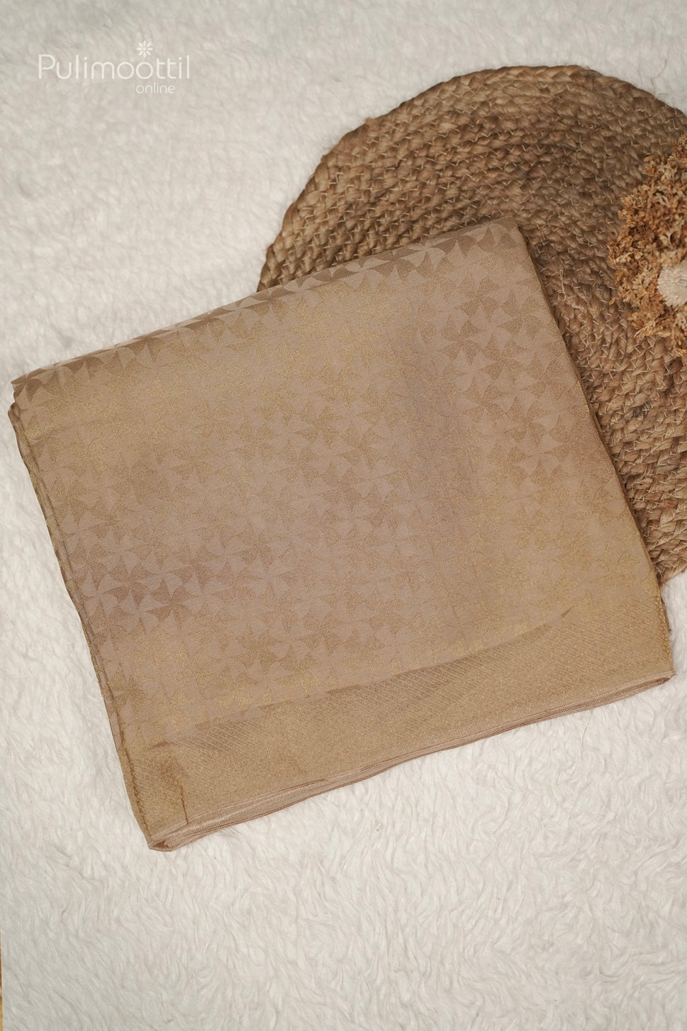 Pastel Chikoo Shade Colour Banarasi Saree.