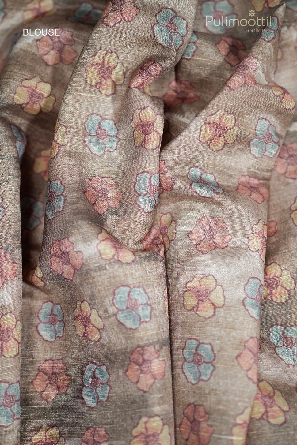 Light Chickoo Colour Printed Tussar Silk Saree