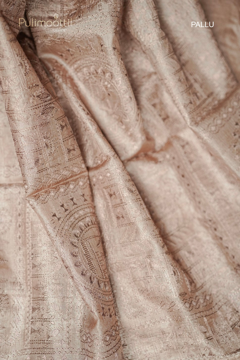 Chikoo Colour Tussar Silk Saree