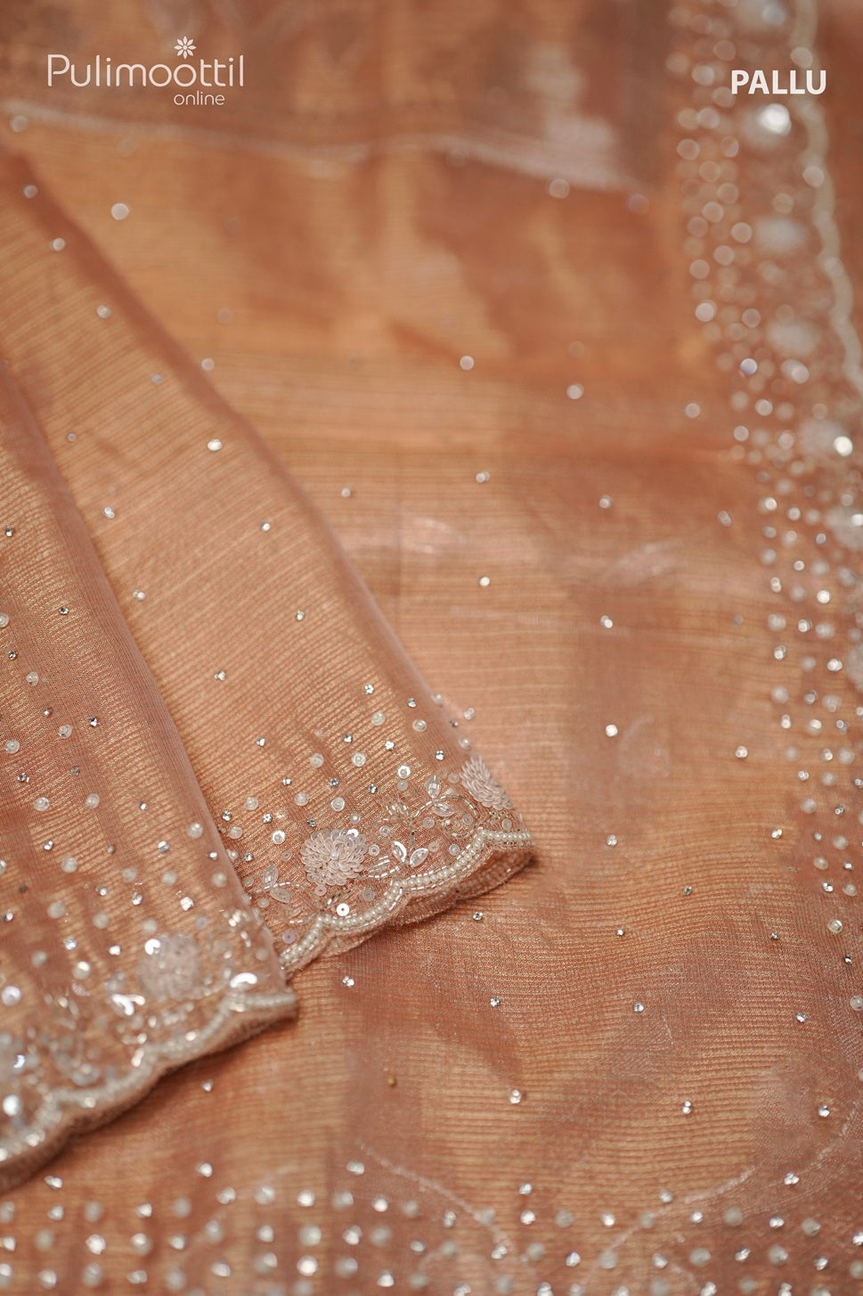 Chikku Shade Organza Fancy Saree.