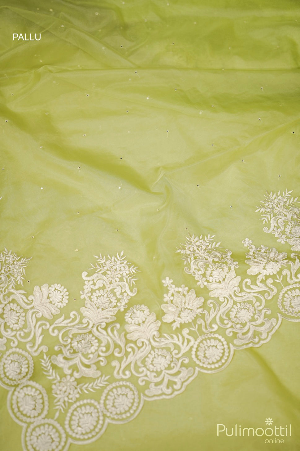 Light Green Organza Fancy Saree.