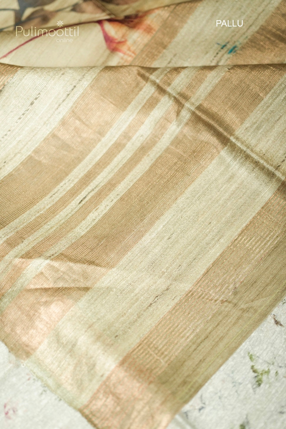 Chikoo Colour Tussar Silk Saree