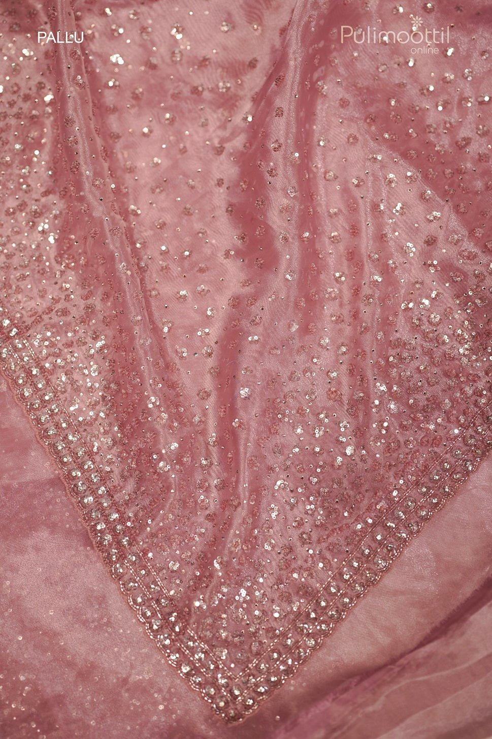 Pastel Onion Colour Organza Fancy Saree