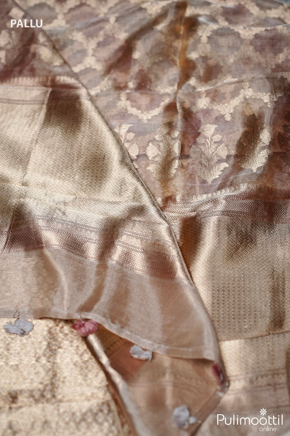 Pastel Shaded Organza Silk Saree.