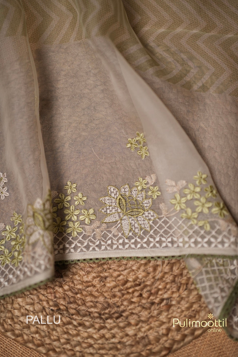 Pastel Light Green Colour Organza Fancy Saree