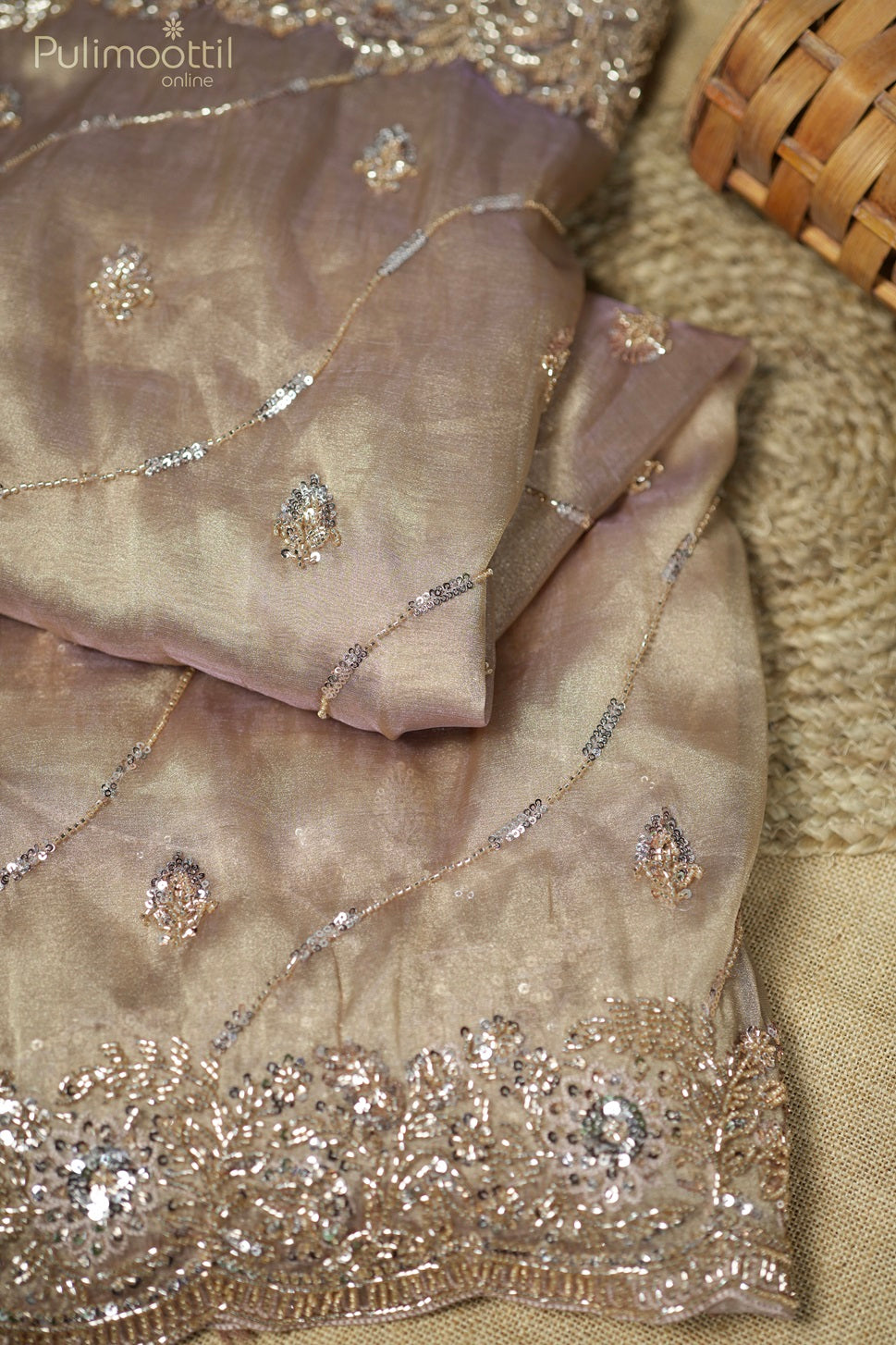 Light chickoo-colored shimmer organza fancy saree