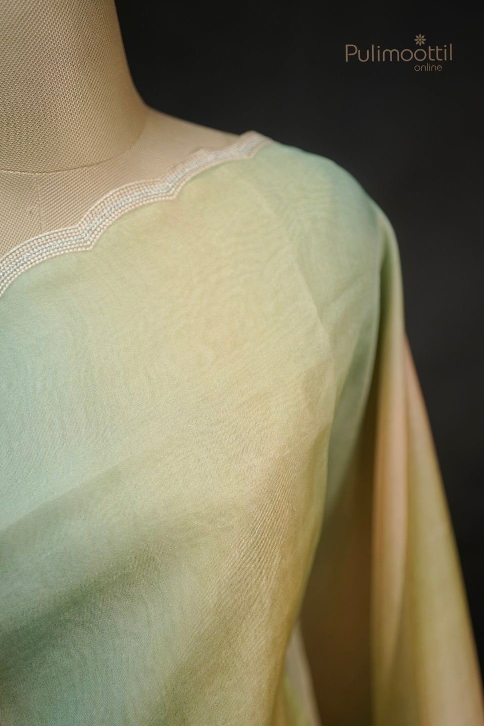 Pastel Multicolour Organza Fancy Saree