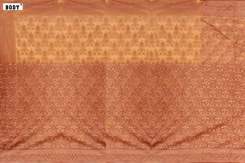 Light Dust with Salmon Colour, Designer ORGANZA Net Saree.